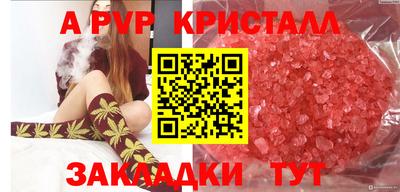 таблы Будённовск